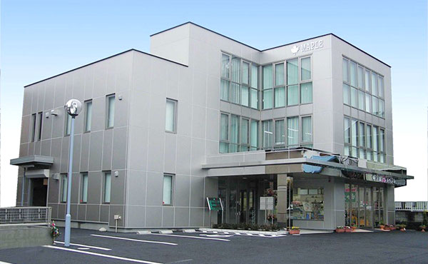 有限会社メイプル