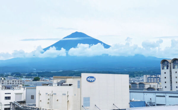 株式会社ニッピ富士工場